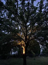Foto del cliente: Bello anche in autunno
