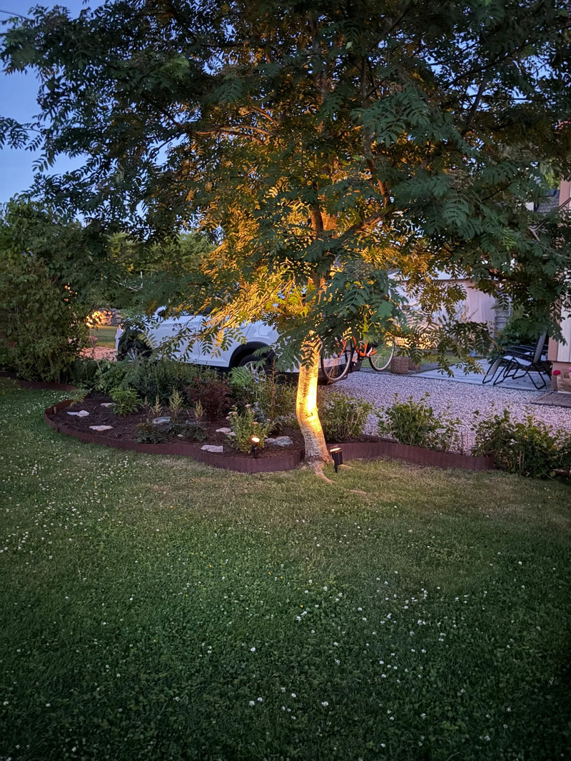 Foto del cliente: Una sera per trovare l’angolo
